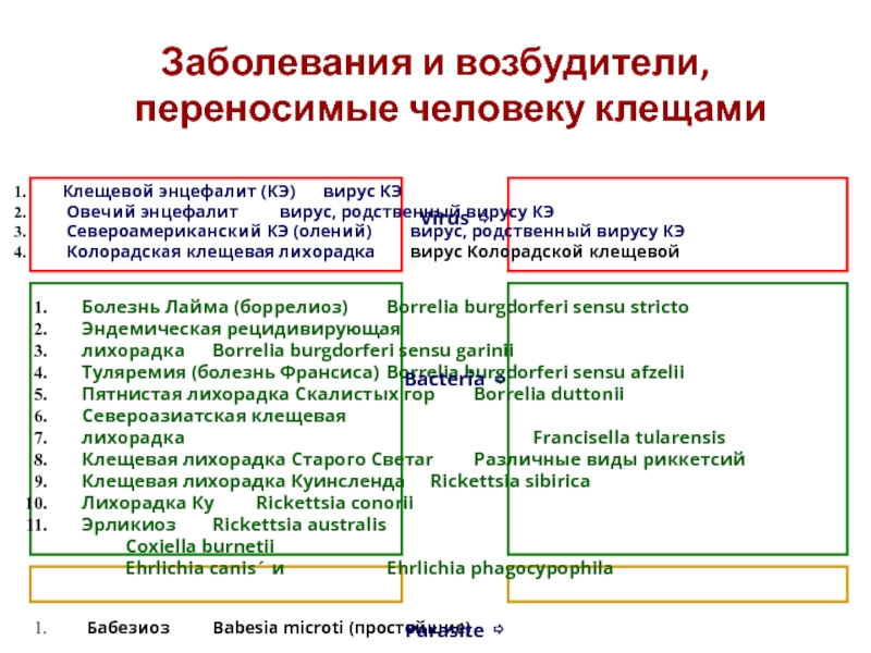 Доклад: Бабезиоз