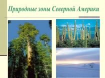 Природные зоны Северной Америки