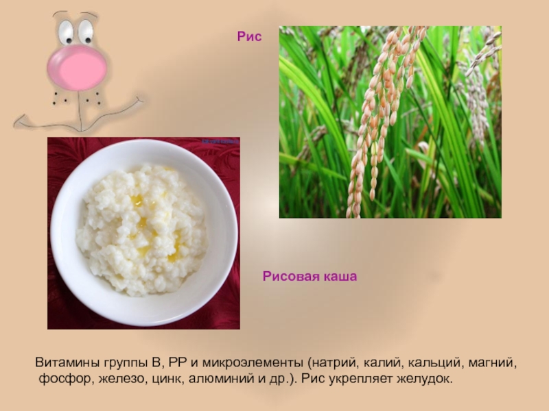 Какие микроэлементы содержаться в кашах