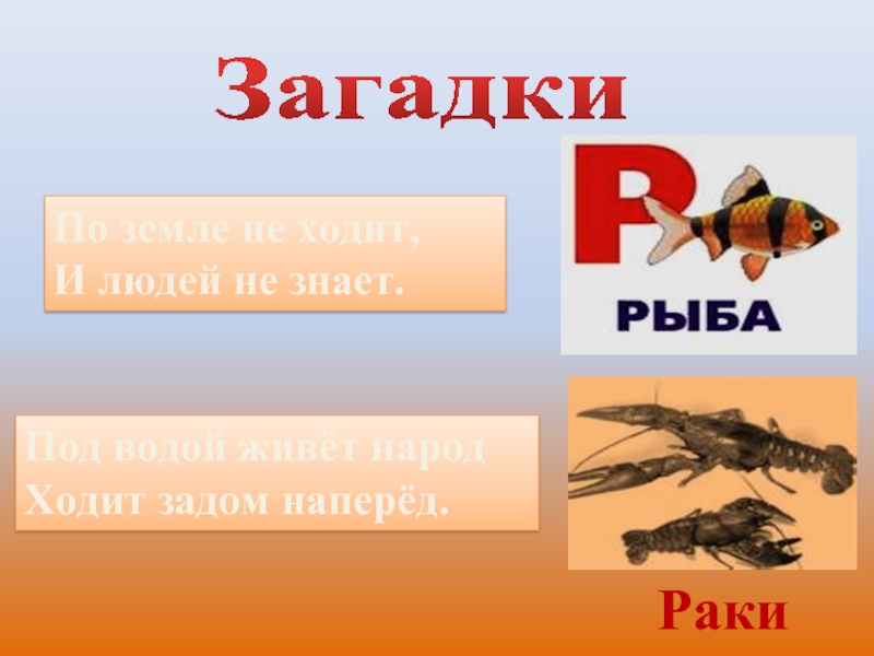 Ходи заде. Загадки о земле. Загадка по почве. Загадки о почве. Загадка под водой живет народ ходит задом наперед.