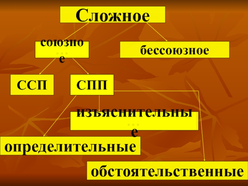 Ссп и спп презентация