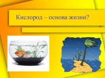 Кислород – основа жизни?