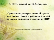 Организация предметной среды для воспитания и развития детей раннего возраста в условиях ДОУ