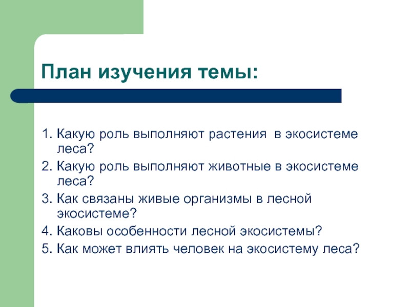 Роль в экосистеме. План изучения растений. Какую роль выполняют растения. Какую роль в экосистеме выполняют растения. План исследования растений.