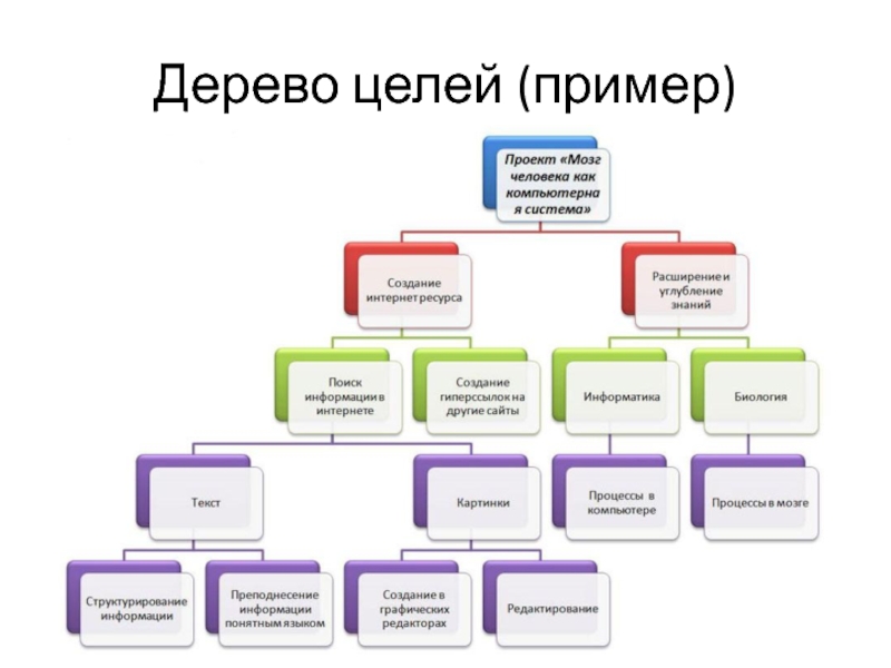 Дерево целей проекта. Дерево целей пример. Дерево целей музея. Дерево целей на примере магнит. Древо целей компании компьютерных игр.