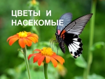 ЦВЕТЫ И НАСЕКОМЫЕ