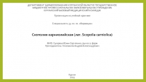 ДЕПАРТАМЕНТ ЗДРАВООХРАНЕНИЯ КУРГАНСКОЙ ОБЛАСТИ ГОСУДАРСТВЕННОЕ БЮДЖЕТНОЕ