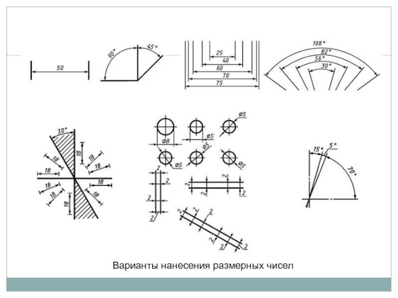 Размерное число правильно нанесено на рисунке