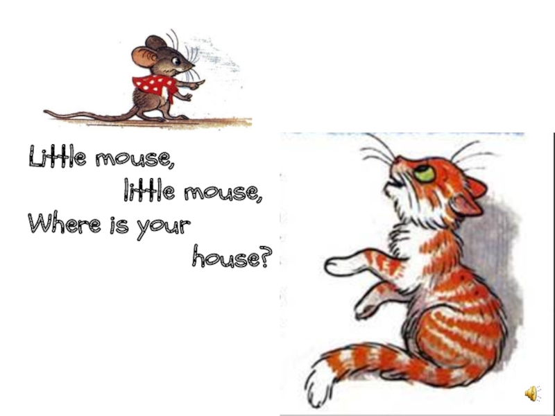 Little mouse,      little mouse,Where is your