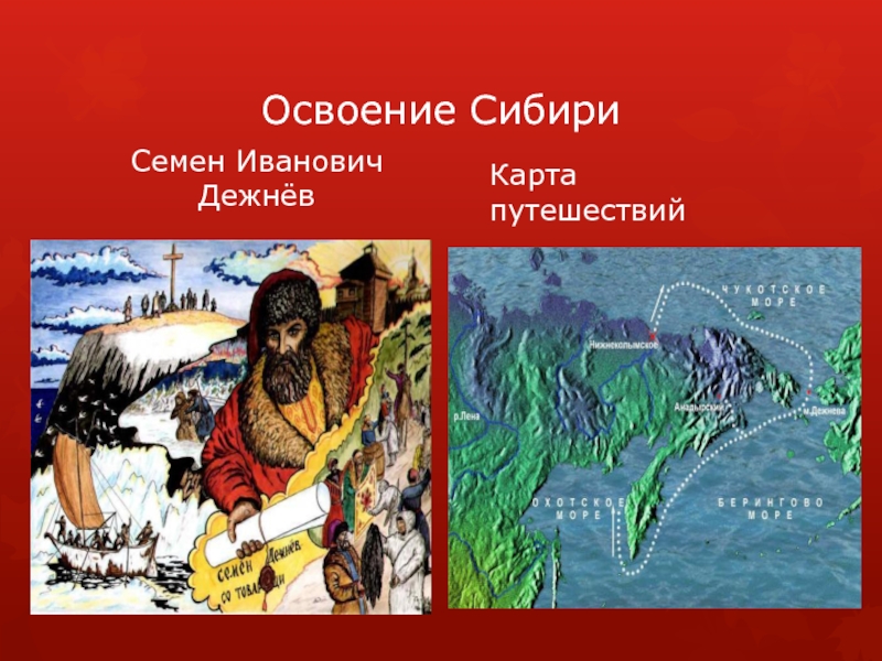 Какую функцию выполняет орган обозначенный на рисунке буквой ж всасывания алкоголя и лекарств ответ