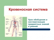 Урок обобщения и систематизации знаний по теме 