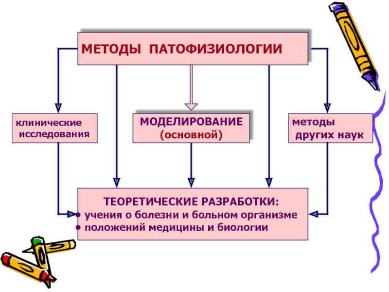 Патологии физиология. Моделирование болезней основной метод патофизиологии. Назвать основные методы патологической физиологии.. Экспериментальное моделирование болезней патофизиология. Методы патофизиологии, экспериментальное моделирование болезней..