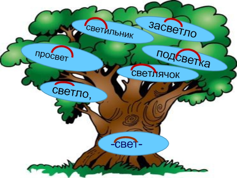 1 группа однокоренных слов. Дерево с однокоренными словами. Однокоренные слова 3 класс. Урок однокоренные слова. Корень однокоренные слова 3 класс.