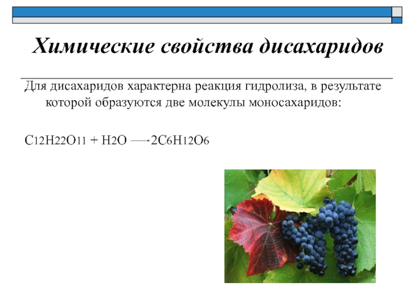 Дисахариды химические свойства. Химические свойства дисахаридов гидролиз. Химические свойства дисахаридов реакции. Химические свойства дисахаридов. Свойства дисахаридов.