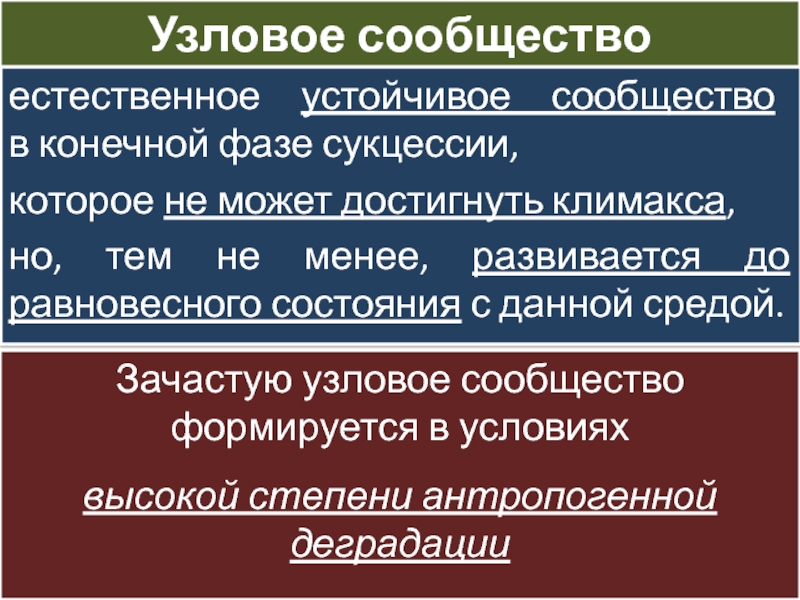 Конечная фаза. Состояние равновесия сукцессии это. Устойчивые сообщества. Естественно резистентные. Примеры узлового сообщества.