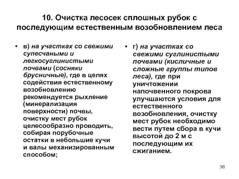 Проект мероприятий по содействию естественному лесовозобновлению