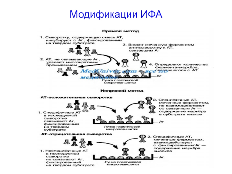 Схема конкурентного ифа