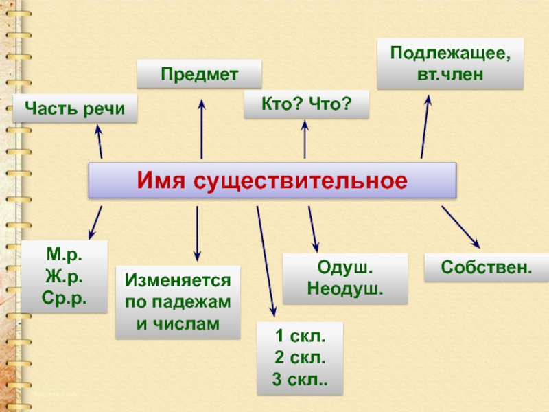 План сообщения о существительном