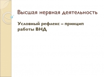 Высшая нервная деятельность