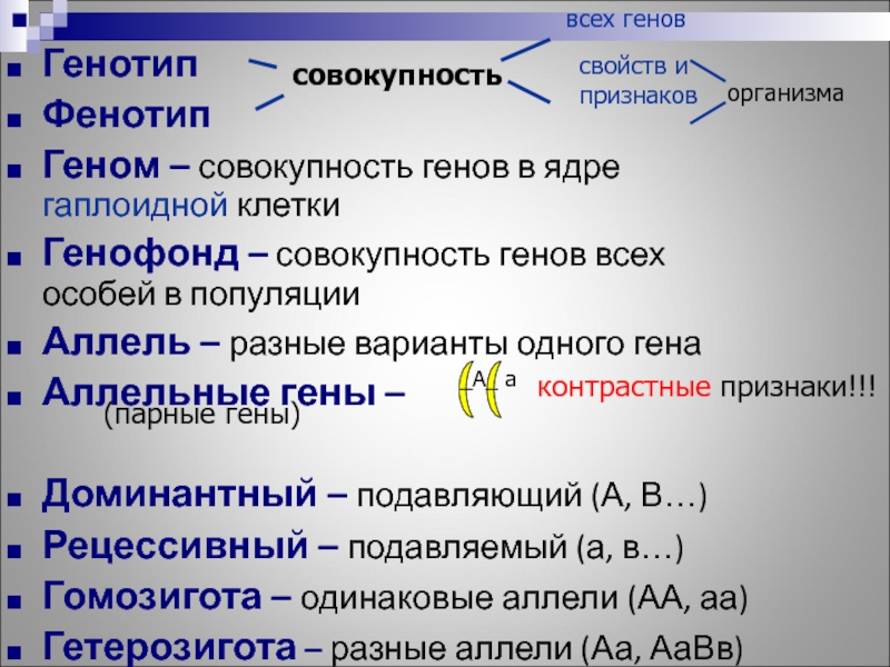 Фенотип признак ген. Генотип. Ген геном генотип генофонд. Ген геном генотип фенотип. Генотип фенотип кариотип.