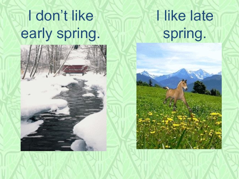 I don’t like  early spring. I like late spring.