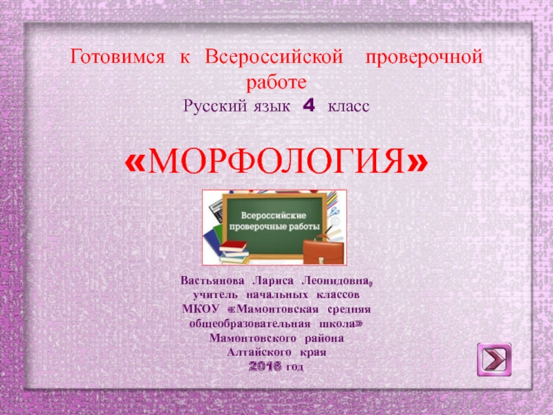 Презентация Готовимся к Всероссийской проверочной работе по русскому языку 
