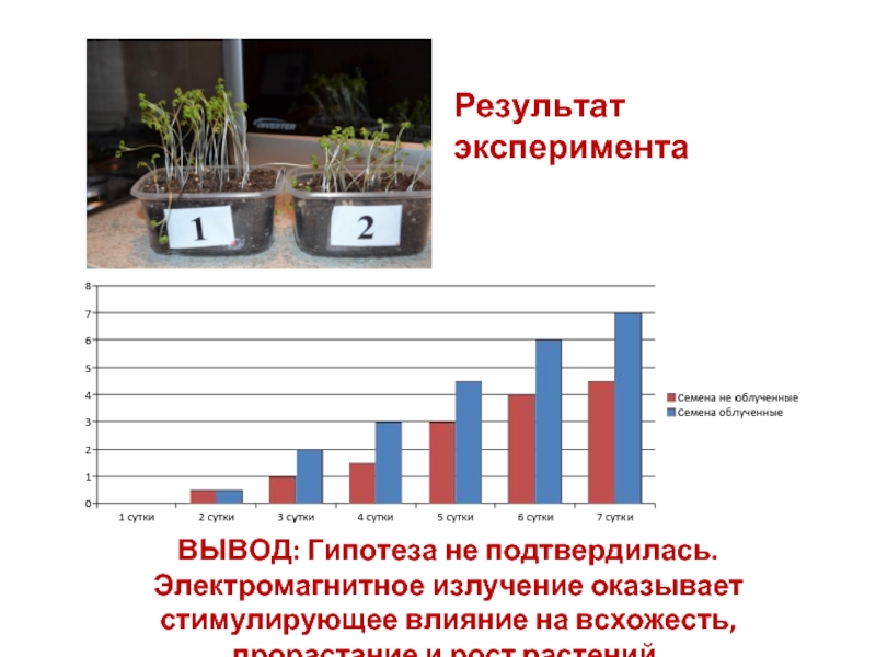 воздействие электромагнитного излучения на растения