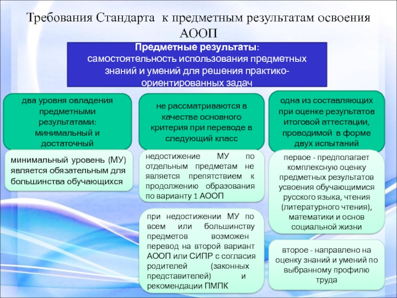 Планируемые результаты освоения адаптированной образовательной программы. Требования стандарта к результатам освоения. Достаточный уровень овладения предметными результатами. Уровни предметных результатов. АООП требования к результатам освоения.