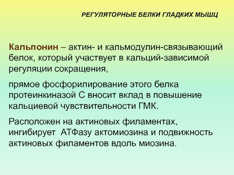 Функции регуляторных белков. Регуляторные белки гормоны. Регуляторные белки. Регуляторные белки примеры. Регуляторные белки.