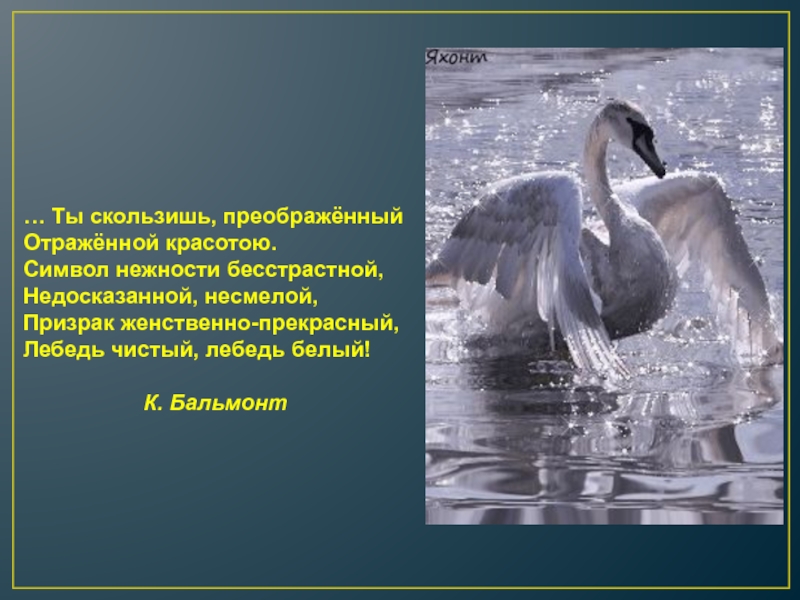 Образ лебедя в русском искусстве
