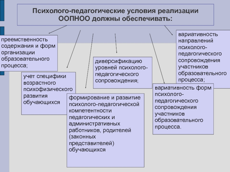 Условия реализации проекта это