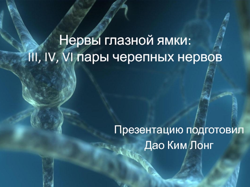 Презентация Нервы глазной ямки: III, IV, VI пары черепных нервов