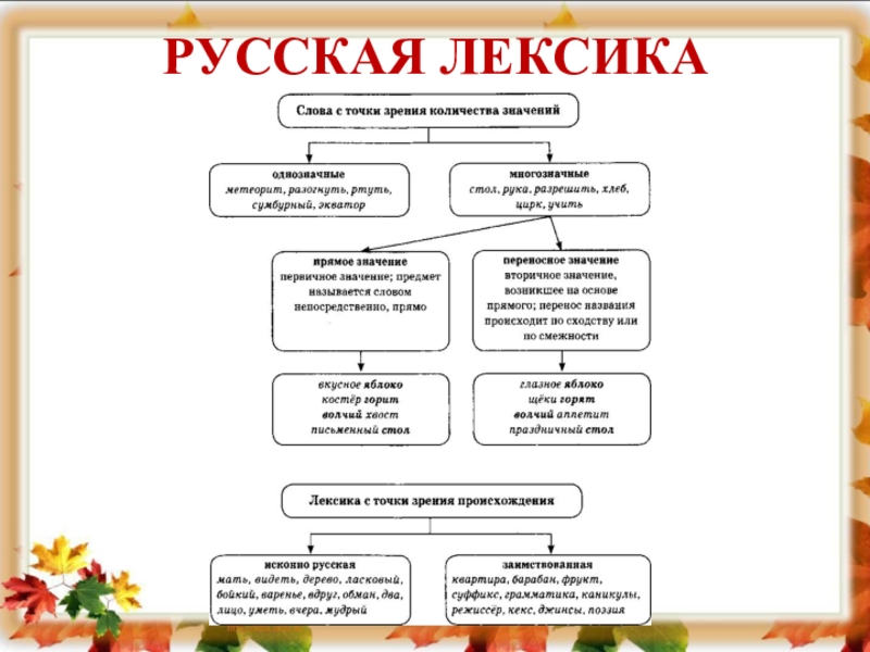 Лексика 5 класс русский