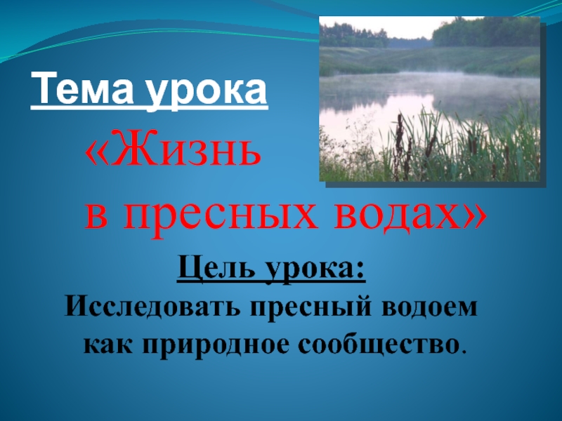 4 класс окружающий мир презентация жизнь в пресных водах 4