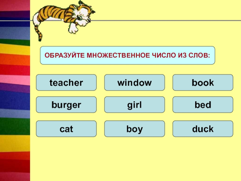 Boy образовать множественное число. Радуга множественное число.