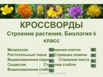 Кроссворд 