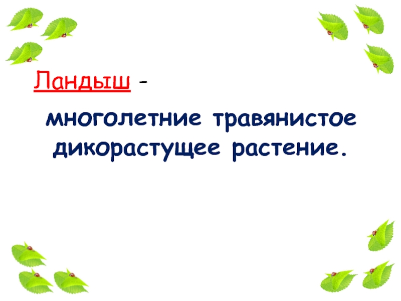 Презентация ландыши для дошкольников