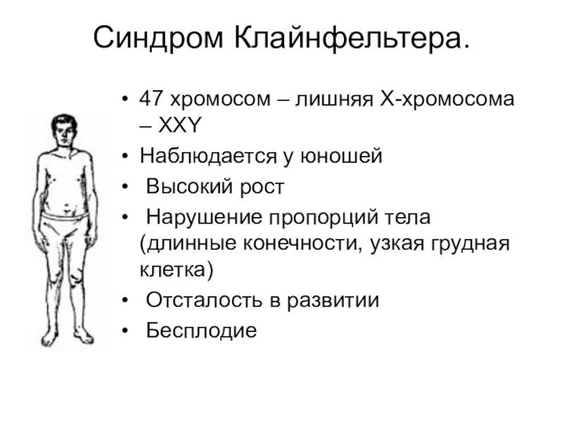 Хромосомы у аутистов. Синдром Клайнфельтера 47 xxy. Хромосомы при синдроме Клайнфельтера. 47 Хромосом синдром Клайнфельтера. Схема возникновения синдрома Клайнфельтера.