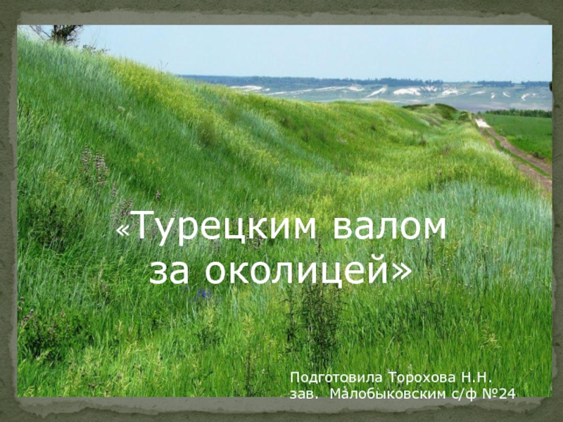 Турецким валом
за околицей
Подготовила Торохова Н.Н.
зав. Малобыковским с/ф