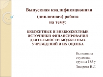 Выпускная квалификационная (дипломная) работа на тему: Бюджетные и внебюджетные