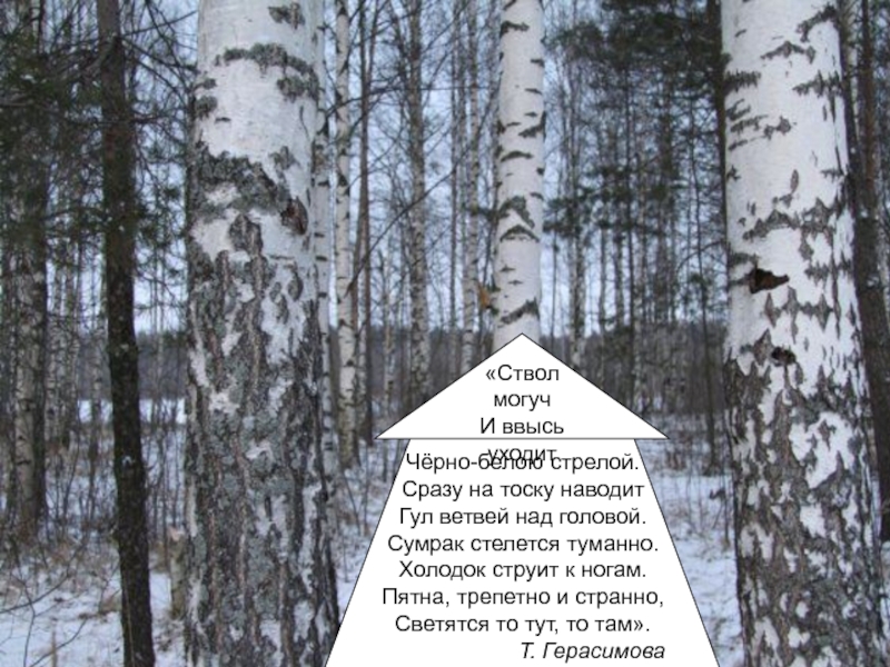 Презентация конкурс чтецов русская зима.