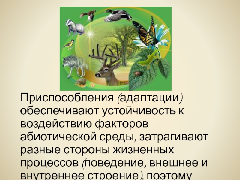 Приспособление адаптация. Приспособления к факторам среды картинки. Устойчивость саговниковых к фактором среды. Устойчивость простейших к факторам окружающей среды. Экологическая приспособленность.