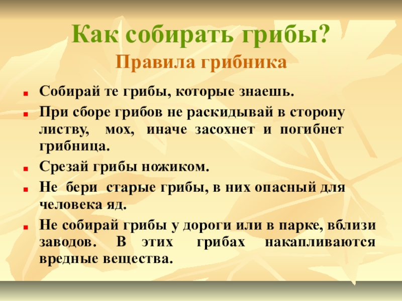 Какое главное правило грибников нарушил витя