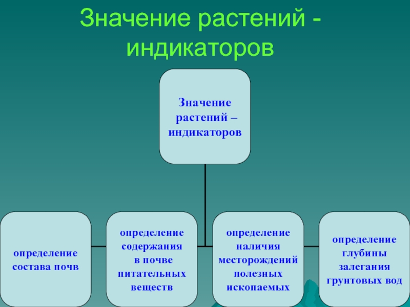 Растения индикаторы презентация