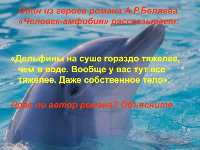 В связи с жизнью на суше. Дельфин на суше. Амфибия Дельфин. Руки Дельфин на суше. Vidal Bulk гигантские дельфины 1кг.