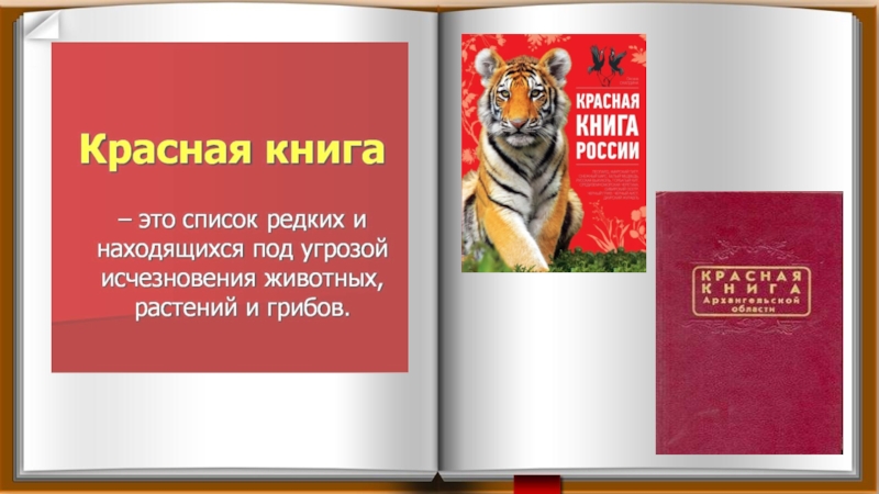 Красная книга татарстана презентация