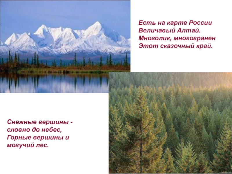 Величавый это. Есть на карте России величавый Алтай Автор. Величавый. Наш край величавый. Величавый пример.