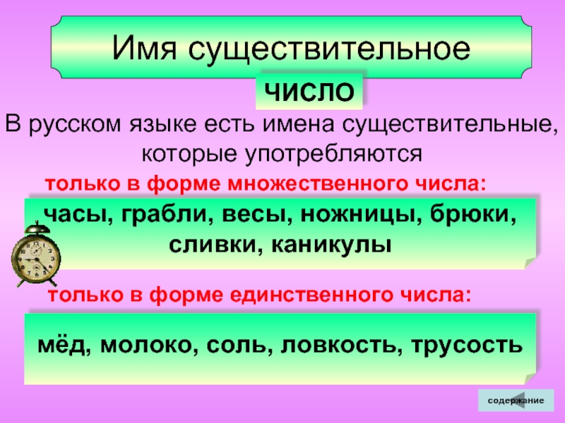 Имя существительноеЧИСЛОВ русском языке есть имена существительные,которые употребляютсячасы, грабли, весы, ножницы, брюки, сливки, каникулы только в форме
