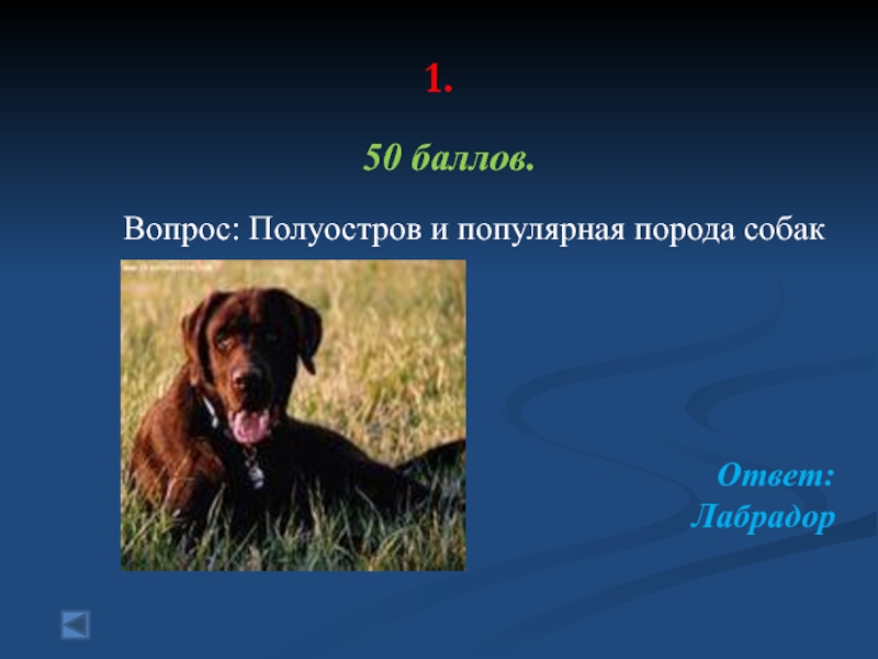 Игра породы собак ответы. И порода собаки и полуостров. Название полуострова и порода собак. П-ов лабрадор - “земледелец”. Собаки 50 баллов ответ.