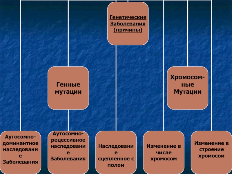 Генетика и здоровья человека презентация